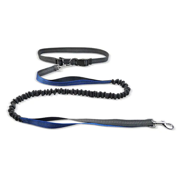 Black and blue bungee dog leash with adjustable handle and metal clip on white background