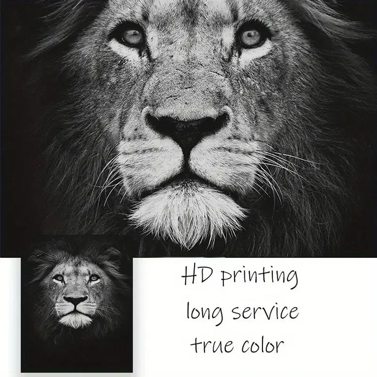HD lion wall art print in black and white, detailed texture, durability and true color
