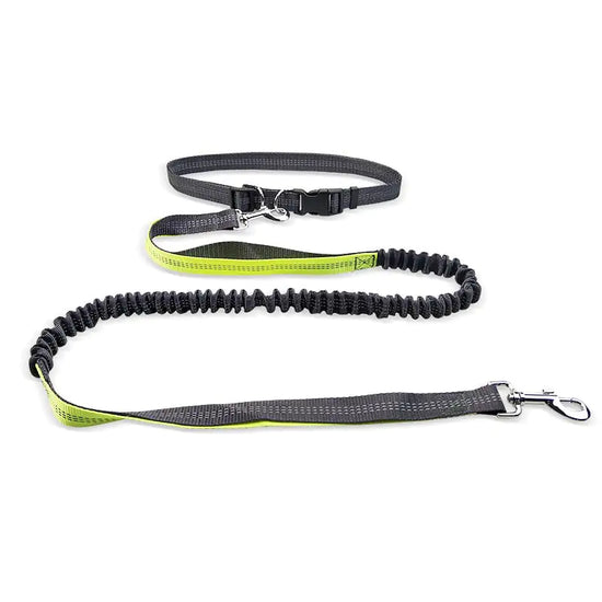 Reflective gray and yellow bungee dog leash with adjustable belt and metal clips