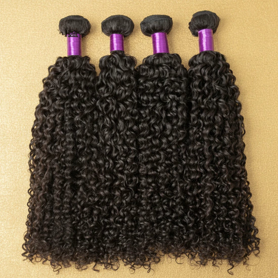 Kinky Curly Brazilian Virgin Human Hair Wig